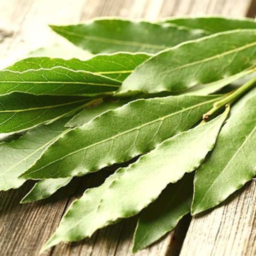 Pantry Agricola Filippone | Organic Sicilian Bay Leaves