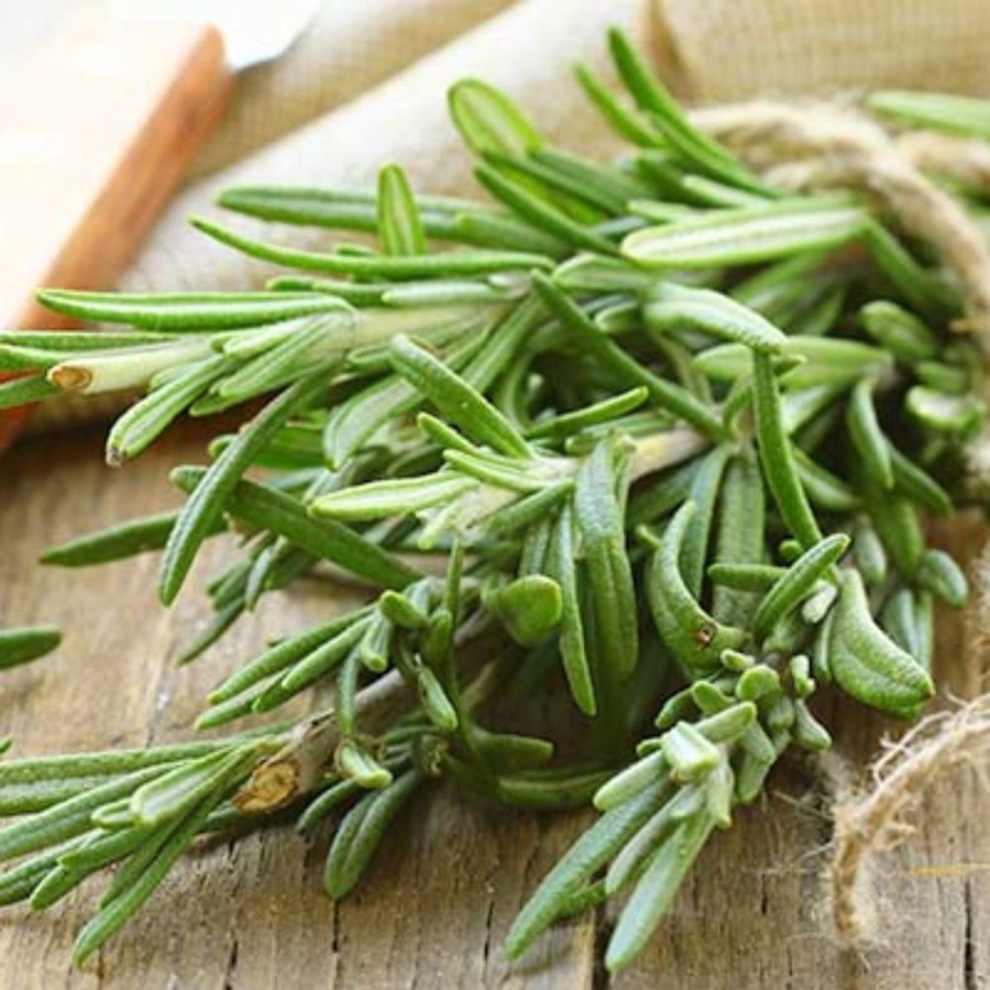 Pantry Agricola Filippone | Organic Sicilian Rosemary