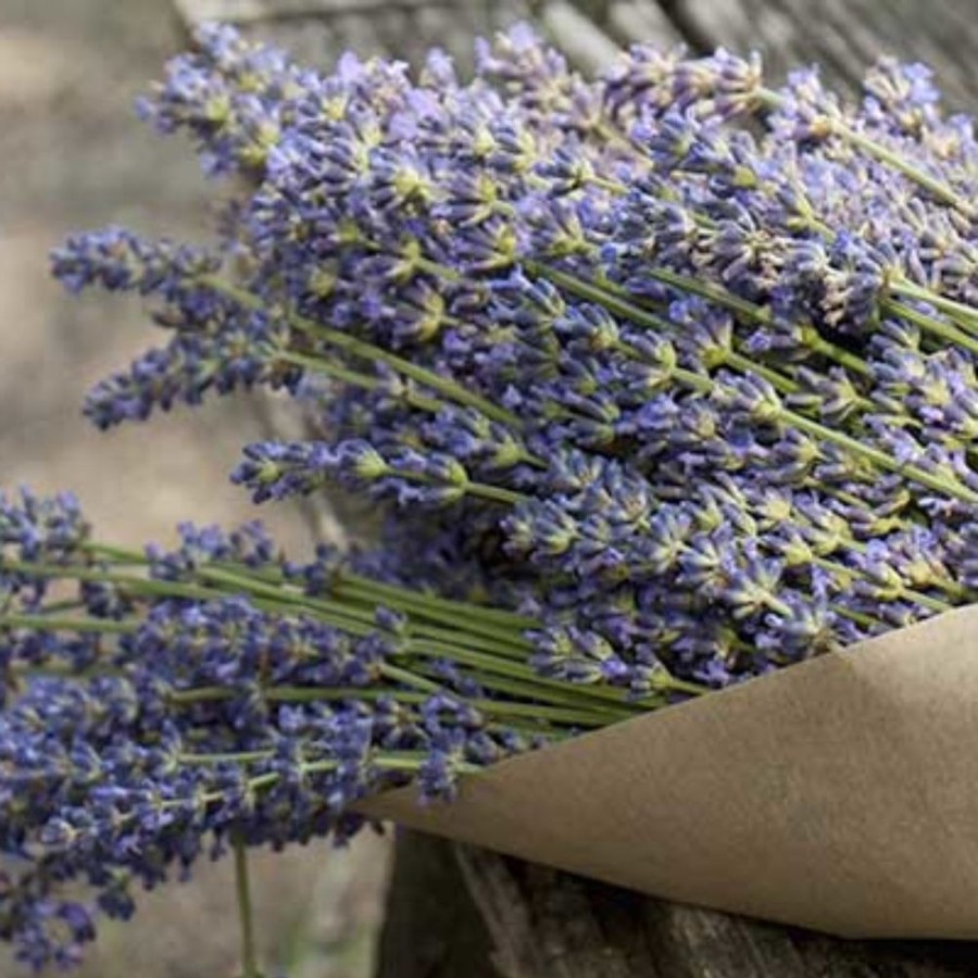 Pantry Agricola Filippone | Organic Sicilian Lavender